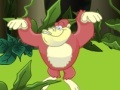                                                                       Monkey in the Forest ליּפש