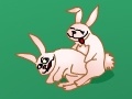                                                                     Breeder: Love and rabbits  קחשמ
