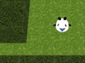                                                                     Panda Hates Mazes קחשמ