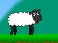                                                                     Sheep Walk קחשמ