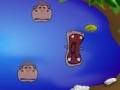                                                                      Hippo Pond ליּפש