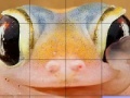                                                                     Pink frog slide puzzle קחשמ
