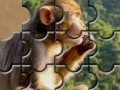                                                                     Monkey Puzzle קחשמ