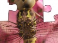                                                                     Jigsaw: Dragonfly קחשמ
