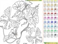                                                                       Kid's coloring: Flowers for Butterflies ליּפש