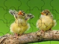                                                                     Two cute sparrow puzzle קחשמ
