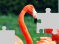                                                                     Flamingo puzzle קחשמ
