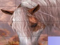                                                                     Slide Puzzle: Horse קחשמ
