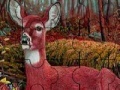                                                                     Alone deer in the forest puzzle קחשמ