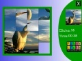                                                                     Slide puzzle: Alone Stork  קחשמ