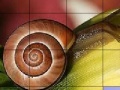                                                                     Snail and flower slide puzzle קחשמ