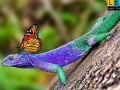                                                                     Lizard and butterflies puzzle קחשמ