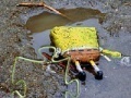                                                                       SpongeBob Found Dead Jigsaw Puzzle ליּפש