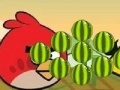                                                                     Angry Birds - cut the rope קחשמ