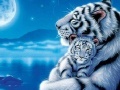                                                                    Mother and Baby Tiger Puzzle קחשמ