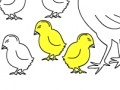                                                                     Chicken Family: Coloring קחשמ