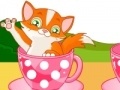                                                                       Cat in Cup ליּפש
