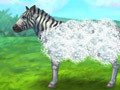                                                                       Feed Zebra ליּפש
