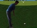                                                                     Flash Golf 3D קחשמ
