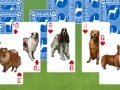                                                                       Best in show: Solitaire ליּפש