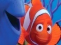                                                                     Finding Nemo find the spot קחשמ