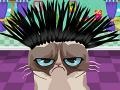                                                                     Angry Cat Hair Salon קחשמ