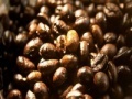                                                                     Coffee beans slider קחשמ
