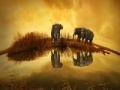                                                                     Thailand Elephant Slider קחשמ