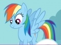                                                                       My Little Pony: Rainbow Dash Puzzles ליּפש