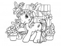                                                                     My Little Pony: Crystal Princess Coloring Book קחשמ