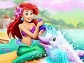                                                                       Ariel Dolphin Wash ליּפש