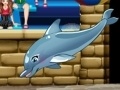                                                                       My dolphin show 6 ליּפש