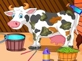                                                                     Holstein Cow Care קחשמ