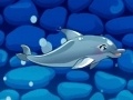                                                                       My Dolphin Show 5 ליּפש