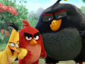                                                                     The Angry Birds Movie Online קחשמ
