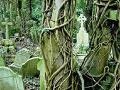                                                                       Highgate Cemetery Escape ליּפש