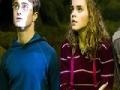                                                                       Harry Potter: Puzzled Harry  ליּפש