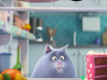                                                                     The Secret Life Of Pets Spot The Numbers קחשמ