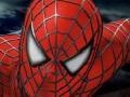                                                                     Spider-man 3: Rescue Mary Jane  קחשמ