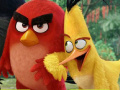                                                                     Angry Birds Shooter  קחשמ
