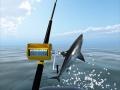                                                                       Azure Sea Fishing ליּפש