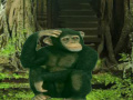                                                                     Chimpanzee Forest Escape קחשמ