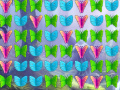                                                                     Butterfly Collector קחשמ