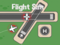                                                                     Flight Sim קחשמ