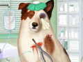                                                                     Doctor For Dog With a Blog קחשמ