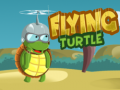                                                                       Flying Turtle ליּפש