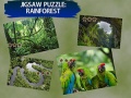                                                                       Jigsaw Puzzle Rain Forest  ליּפש