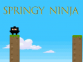                                                                     Springy Ninja קחשמ