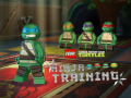                                                                       Teenage Mutant Ninja Turtles: Ninja Training ליּפש