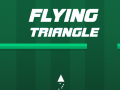                                                                      Flying Triangle ליּפש